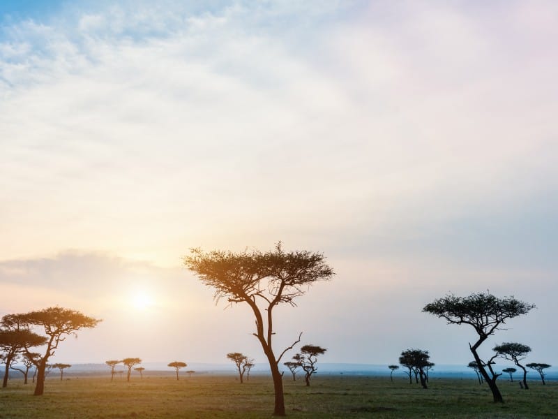 Kenia_Masai Mara Sonnenuntergang