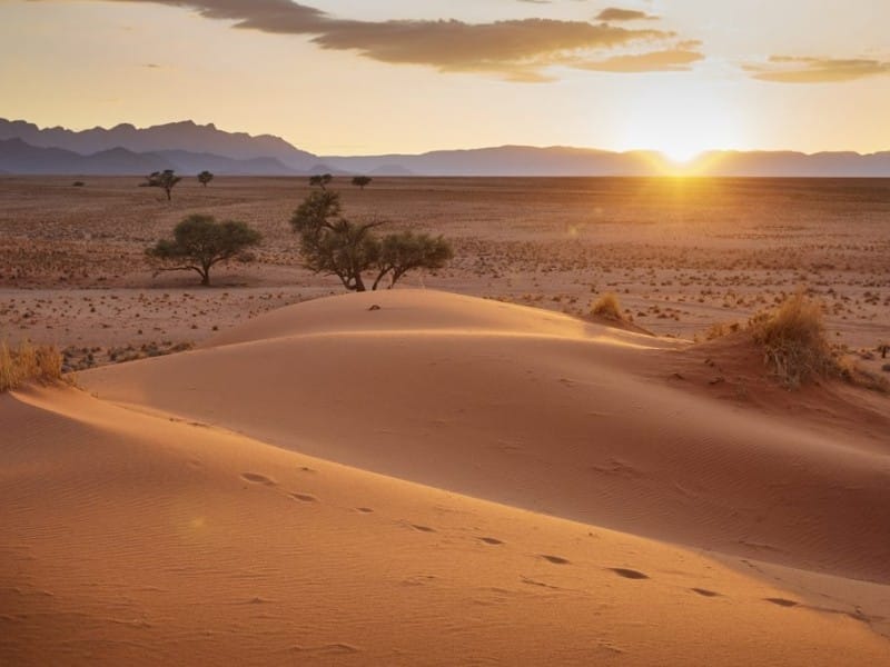 Namibia - Faszination Namibia für Alleinreisende