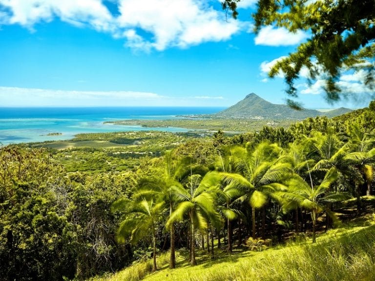 Mauritius Herbst