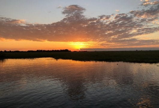 Sonnenuntergang Chobe River