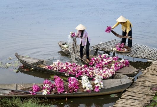 Blumenverkäuferinnen, Mekong Delta
