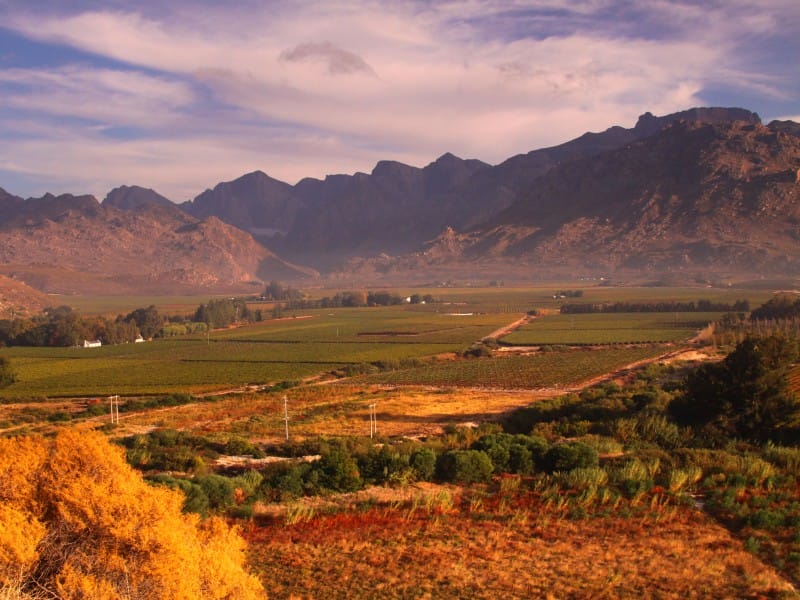 Südafrika_Kap-Provinz_shutterstock©Karen