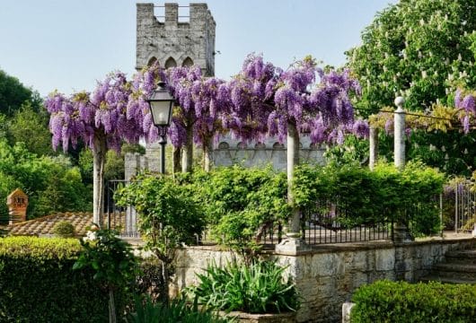Italien-Toskana-Garten