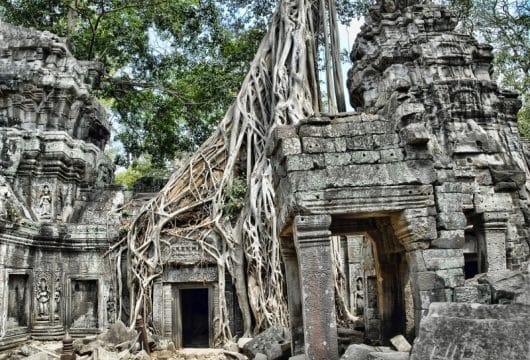 Dschungeltempel Angkor