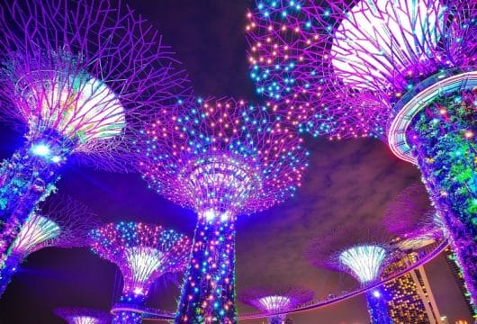 Leuchtende Super Trees in Singapur