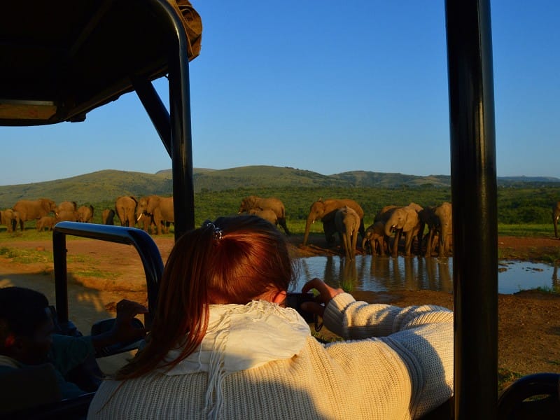 Africa Experience_Südafrika_Hluhluwe gam