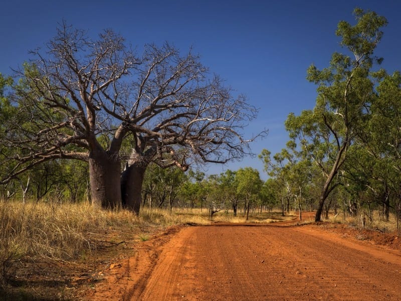 Australien_WA_Kimberleys_Piste