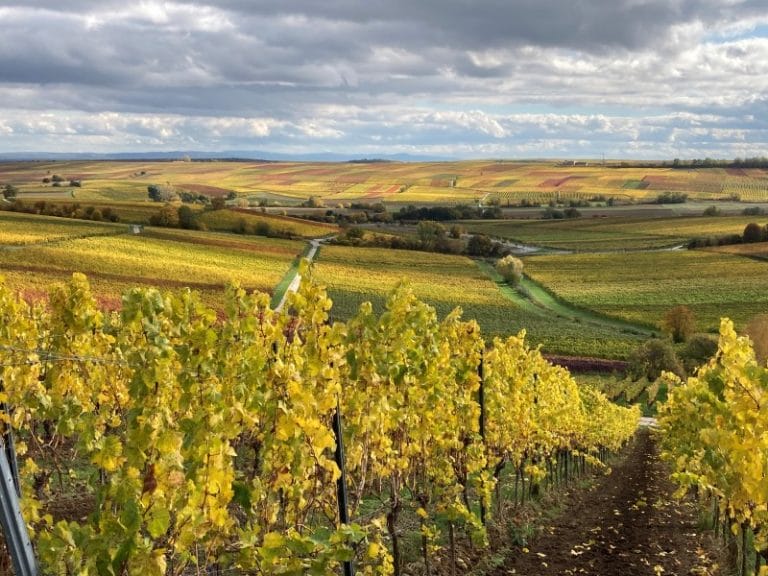 Romantische Weinstraßen