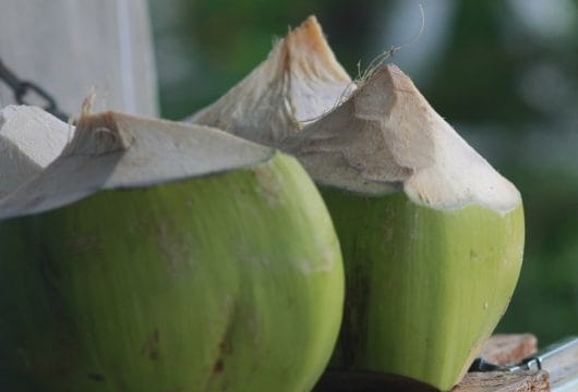 Kokosnüsse in Thailand