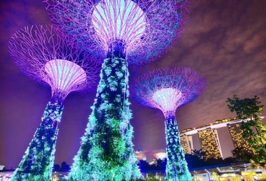 Super Trees Singapur