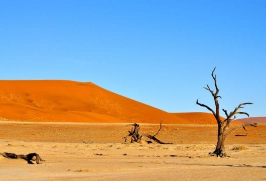 Wüstenlandschaft Namibia
