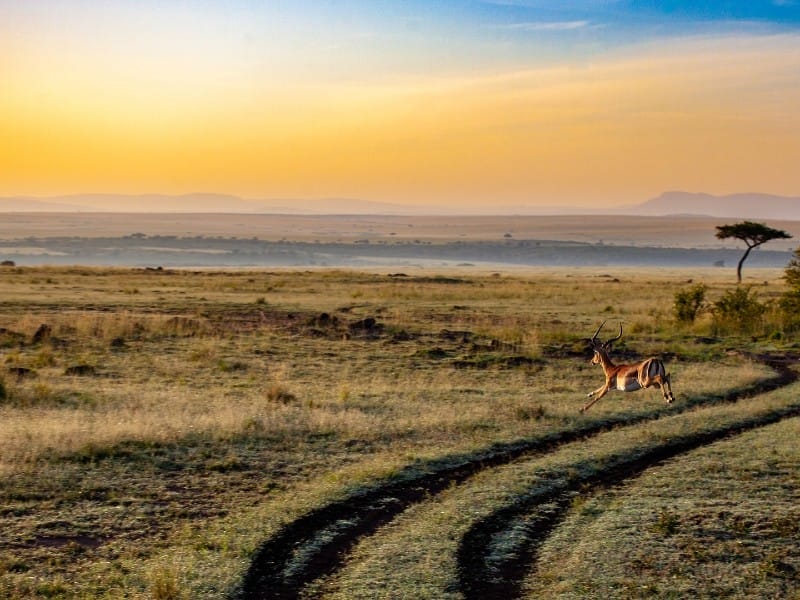Malerische Landschaft, Kenia