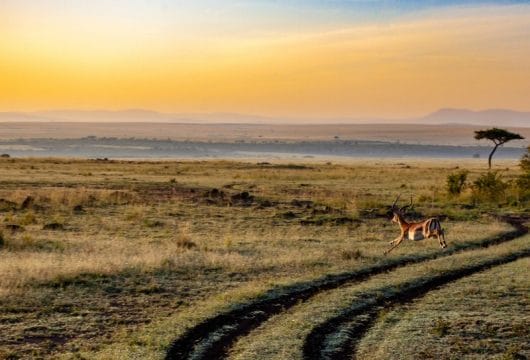 Malerische Landschaft, Kenia