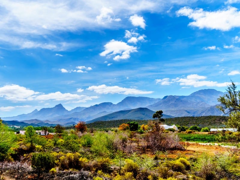 Südafrika_ Kleine Karoo_Groootswartberg 