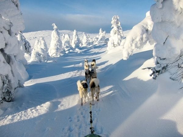 Schweden - Weihnachten in Lappland - inkl. Flug