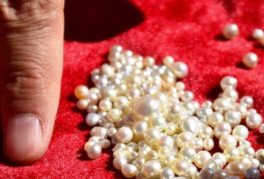 Perlen der Suwaidi Pearl Farm