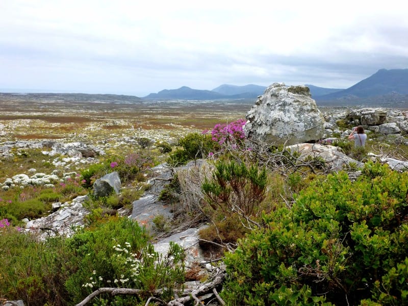 Africa Experience_Südafrika_Cape Point N