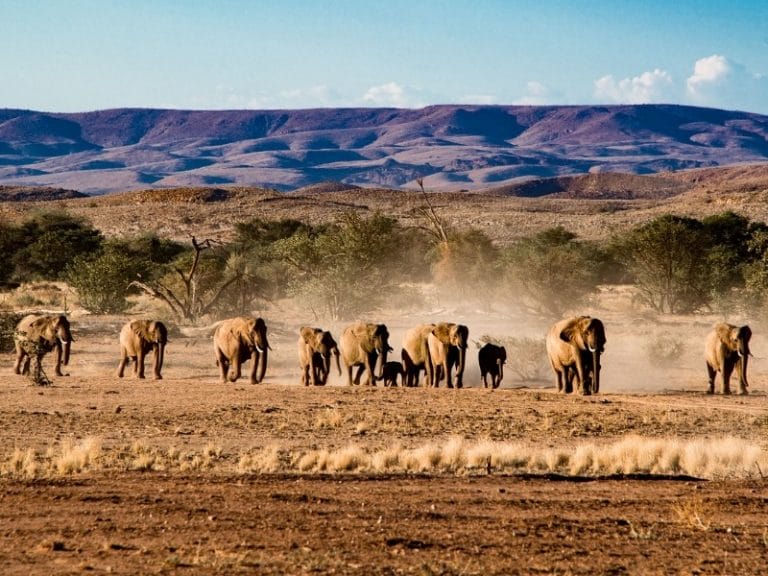 Namibia