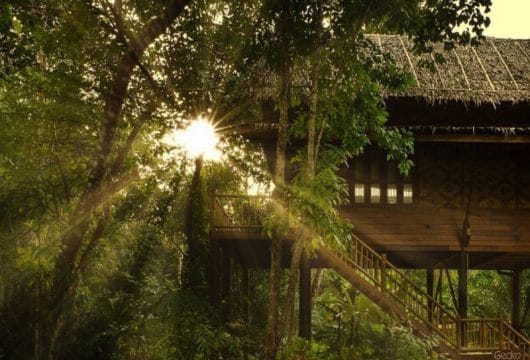 Our Jungle Camp - treehouses outside