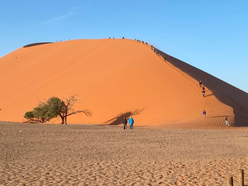 Namibia_Namib Naukluft Nationalpark_Düne