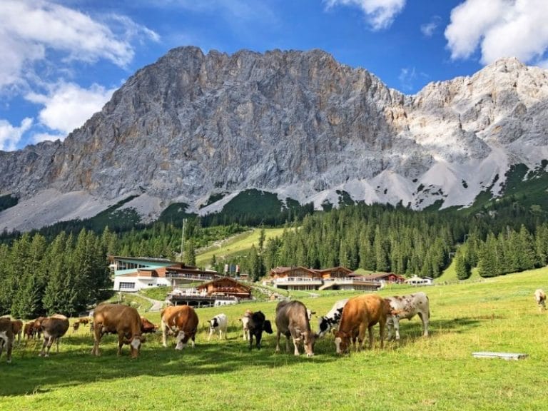 Alpenüberquerung light - individuelle Wanderreise von Garmisch nach Meran