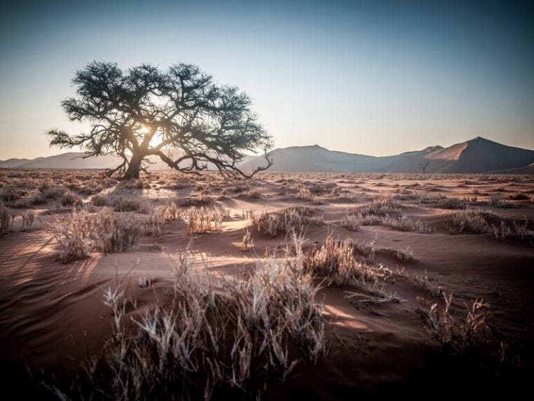 Namibias Wüsten & Schluchten deluxe