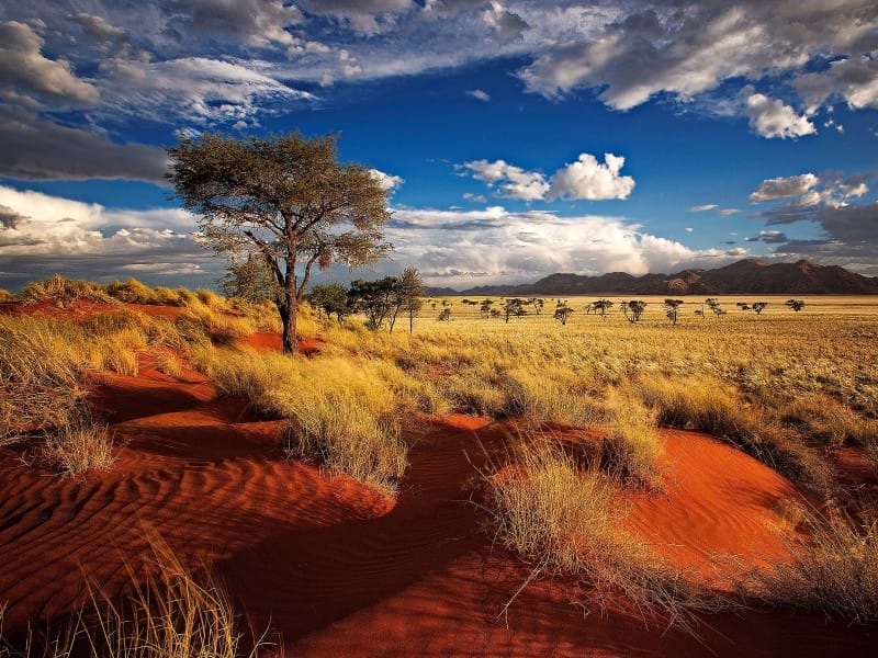 Namibia_Dünenlandschaft