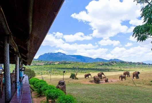 Kenia, Ngulia Safari Lodge - Elefanten