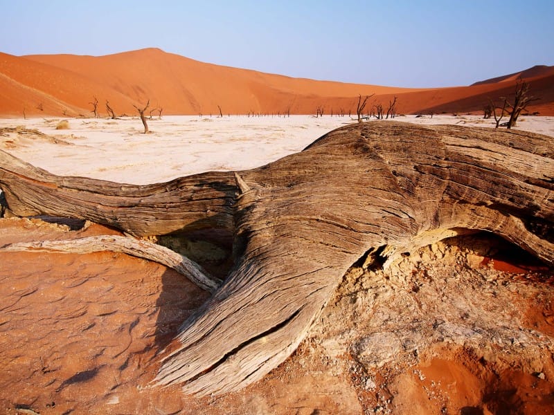 Namibia_Sossusvlei_Dead Valley