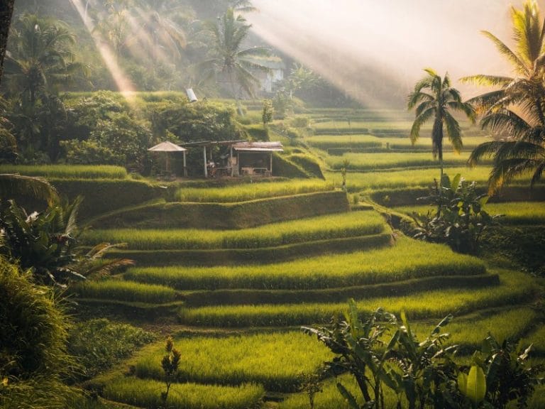 Indonesien