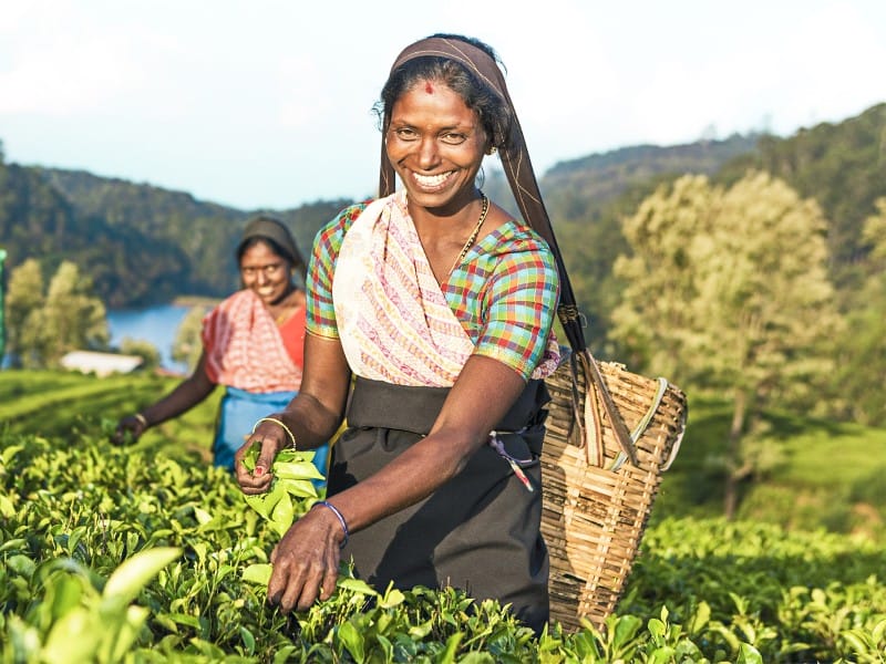 Sri Lanka Ceylon Tee