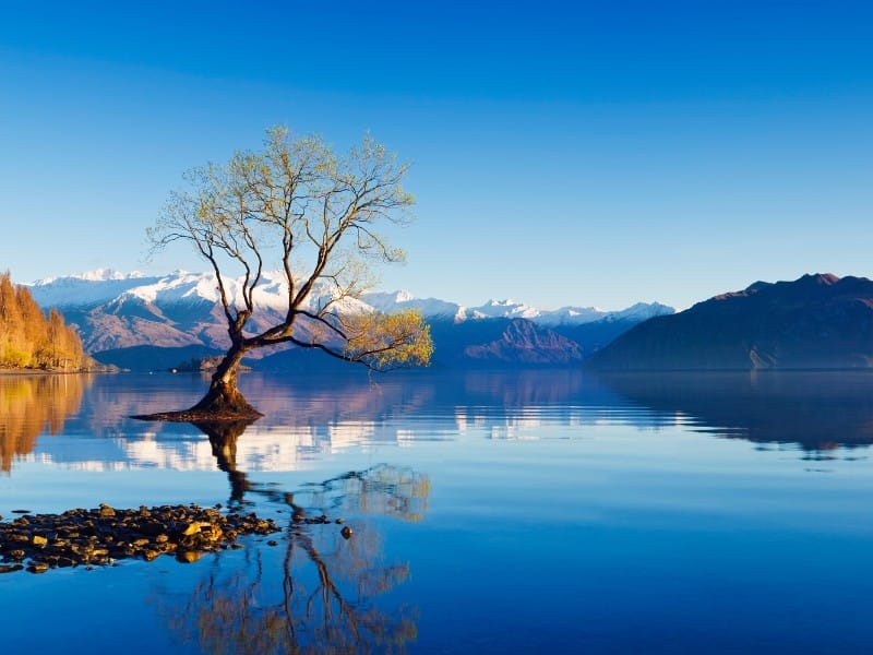 Juwelen Neuseelands: Eine exklusive Selbstfahrerreise zu den schönsten Flecken des Landes (PP003)