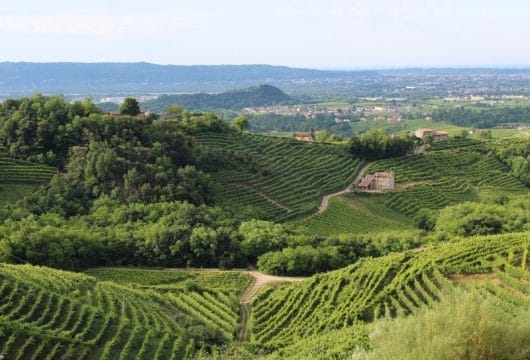 Italien - Treviso - Hügellandschaft