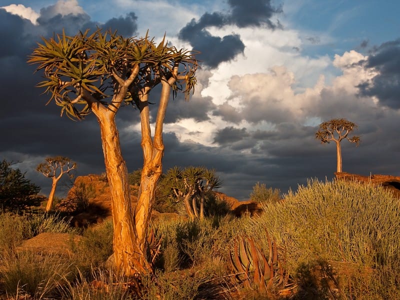 Südafrika_Augrabies Nationalpark_shutter