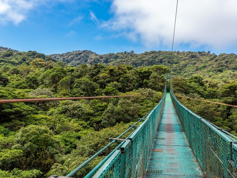 Costa Rica_Monteverde_Hanging Bridges
