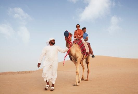 vae-dubai-camels riding