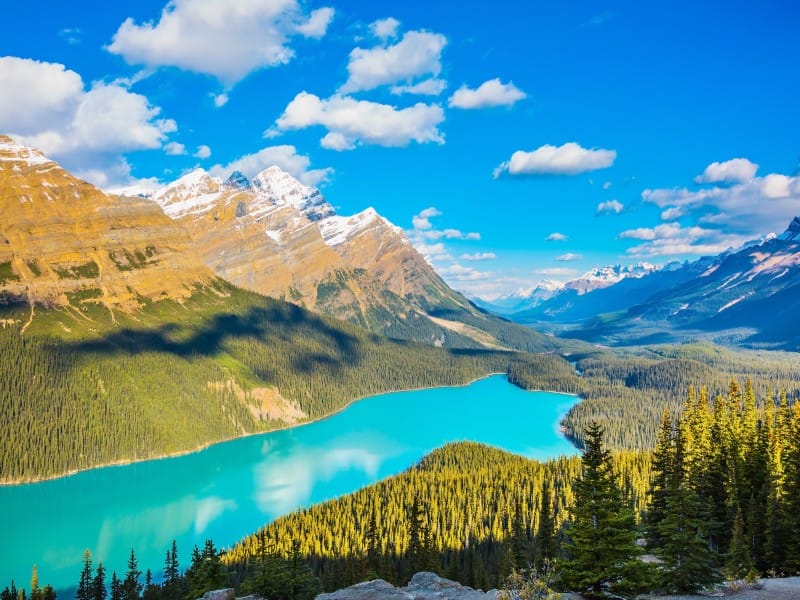 Ka_Alberta_Banff NP_Emerald Lake_Peyto