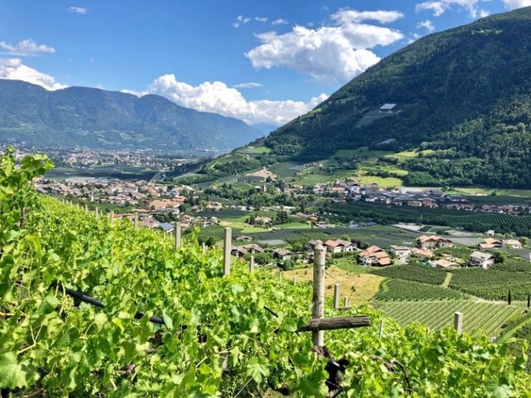 Südtirol - individuelle Wanderreise von Meran zum Gardasee