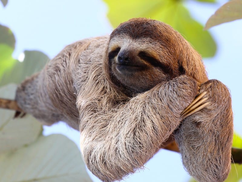 Entdeckerreise Costa Rica