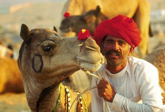 Kamelführer in West Rajasthan