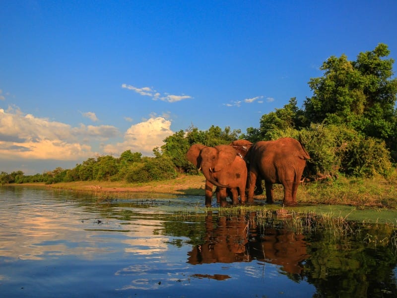 Südafrika: Kruger Nationalpark, Kapstadt & Garden Route
