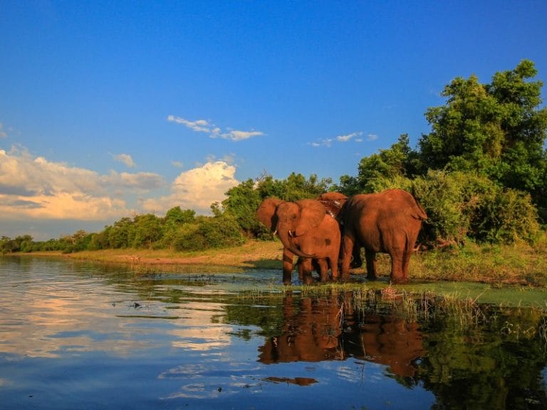 Südafrika: Kruger Nationalpark, Kapstadt & Garden Route