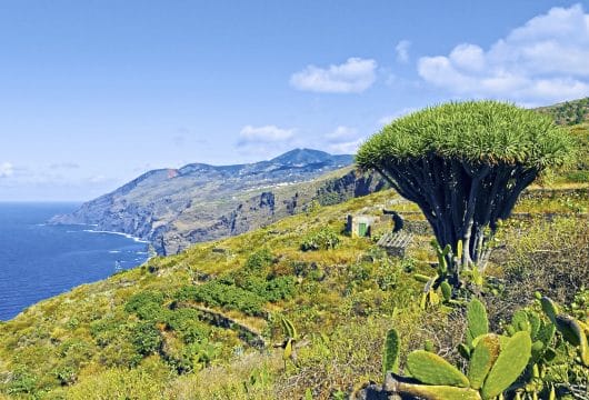 Kanaren La Palma Aussicht über Küste
