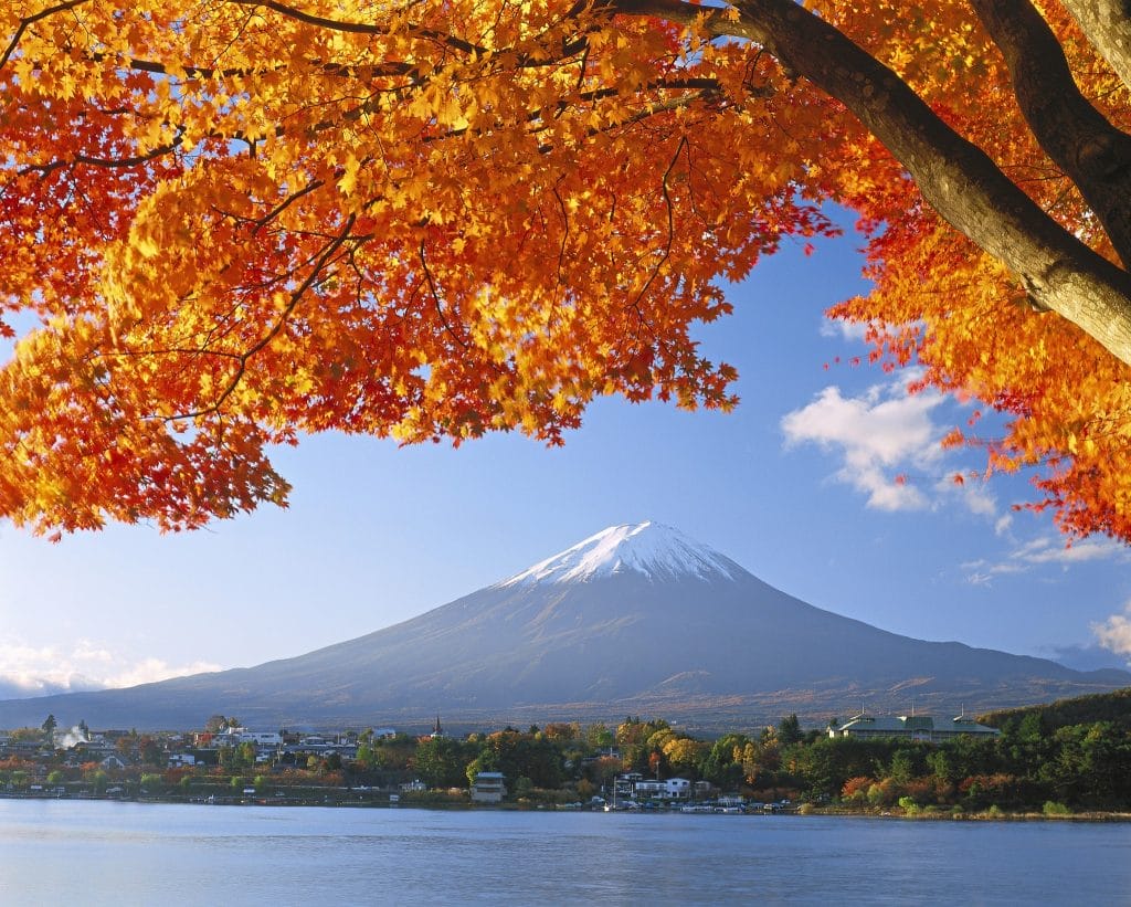 Fuji im Herbst