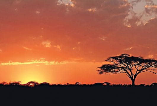 Afrika Tansania Serengeti Sonnenaufgang
