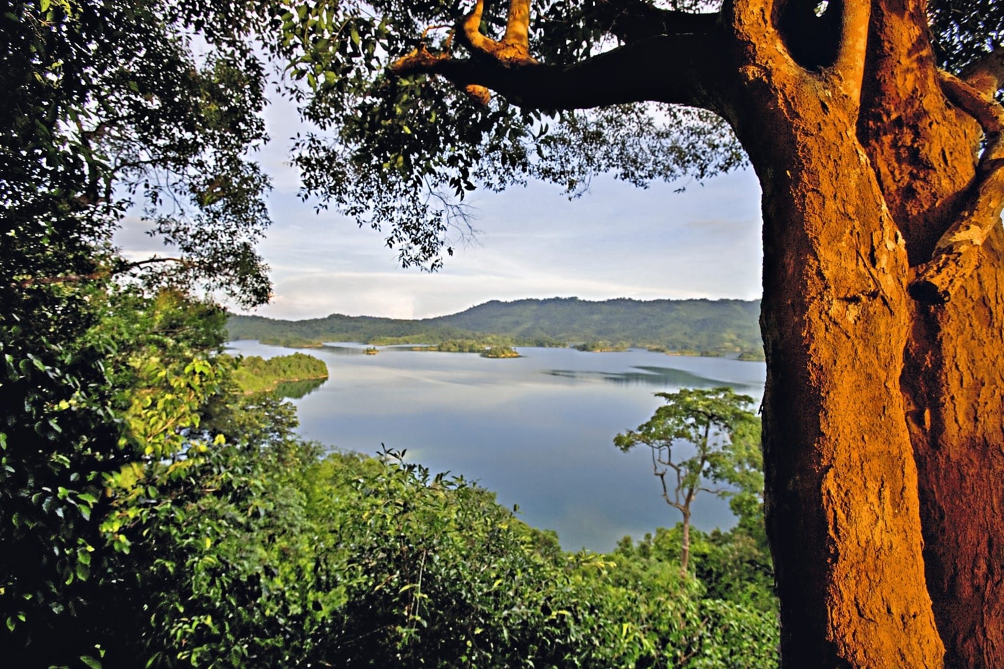 Asien Malaysia Batang Ai See Wald