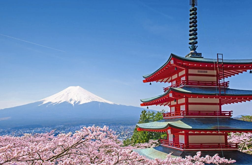 Vulkan Fuji in der Kirschblütenzeit