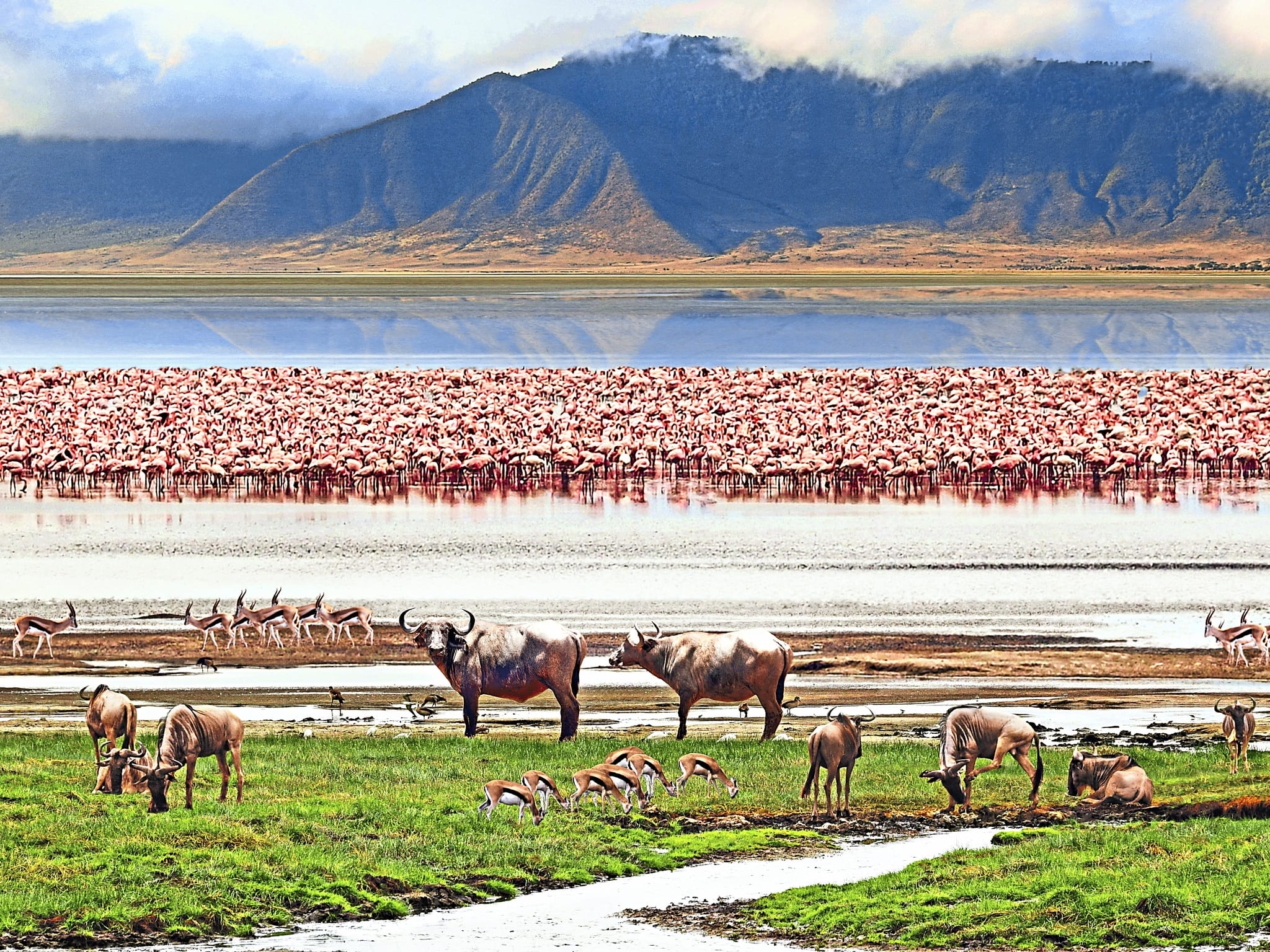 Afrika_Tansania_Ngorongoro_crater