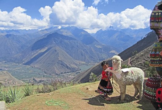 Mädchen mit Alpaka in den Bergen