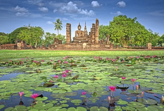 Lotus Teich in Sukhothai
